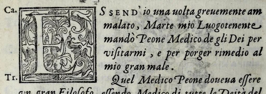 An illustration from Le bravvre del Capitano Spauento : divise in molti ragionamenti in forma di dialogo, 1607, leaf 358
