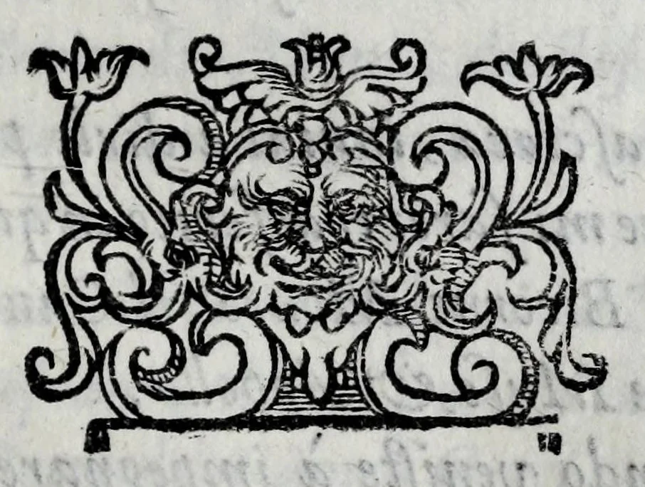 An illustration from Le bravvre del Capitano Spauento : divise in molti ragionamenti in forma di dialogo, 1607, leaf 399