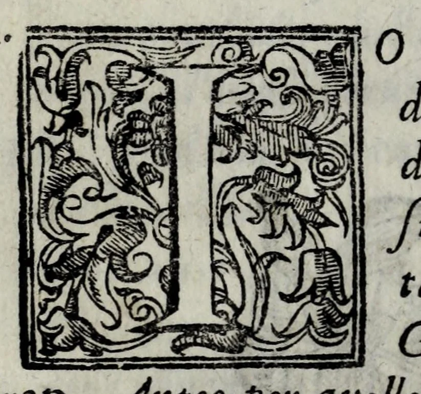 An illustration from Le bravvre del Capitano Spauento : divise in molti ragionamenti in forma di dialogo, 1607, leaf 42