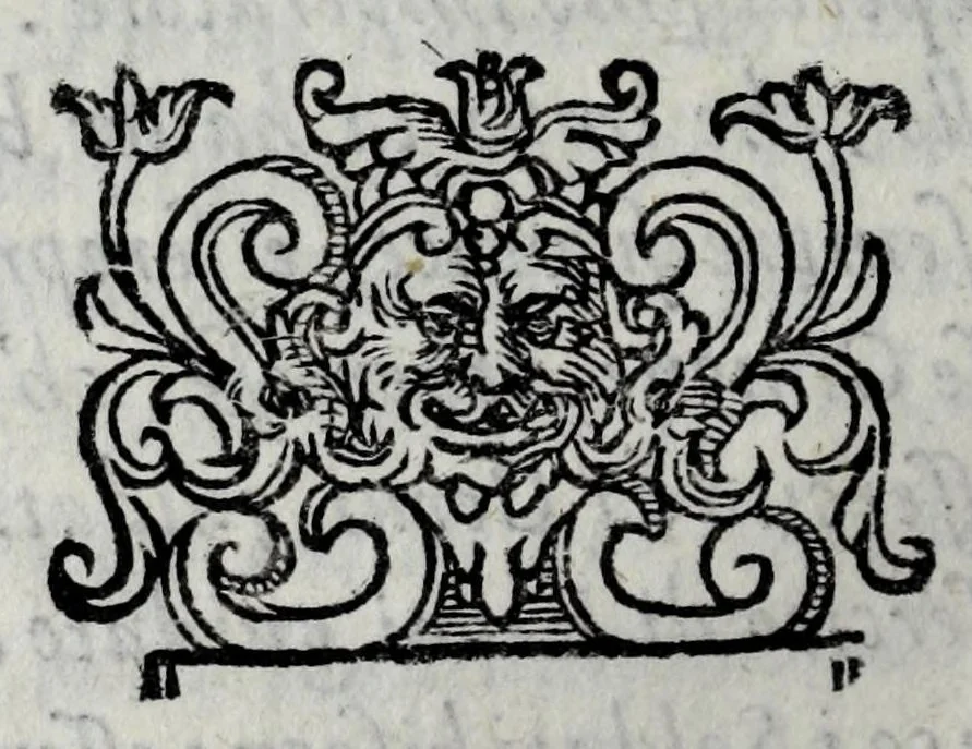 An illustration from Le bravvre del Capitano Spauento : divise in molti ragionamenti in forma di dialogo, 1607, leaf 426