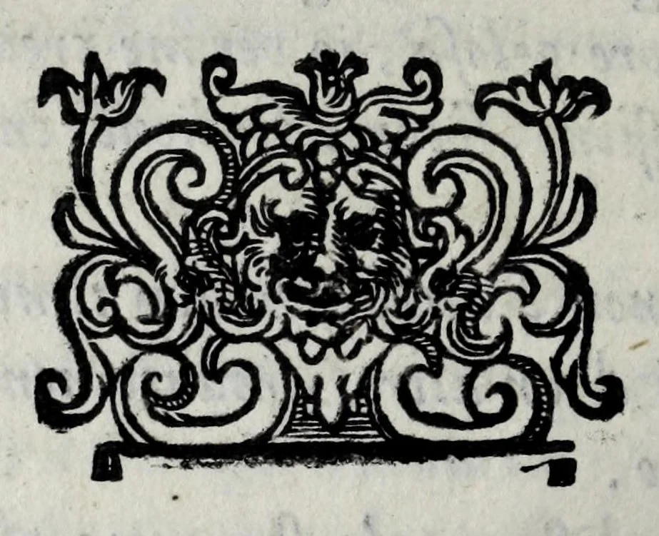 An illustration from Le bravvre del Capitano Spauento : divise in molti ragionamenti in forma di dialogo, 1607, leaf 442