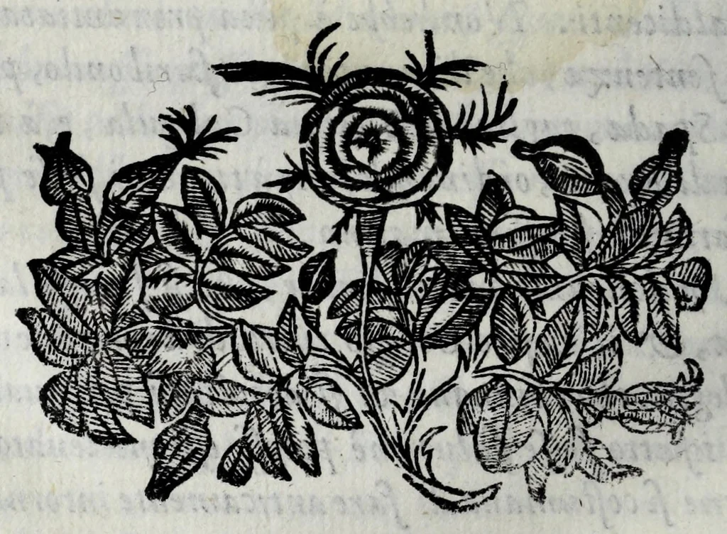 An illustration from Le bravvre del Capitano Spauento : divise in molti ragionamenti in forma di dialogo, 1607, leaf 452