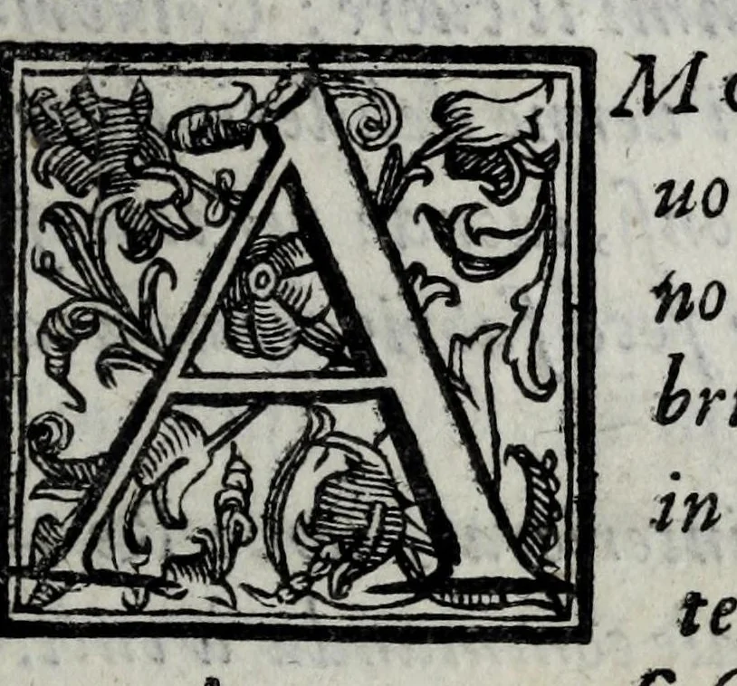 An illustration from Le bravvre del Capitano Spauento : divise in molti ragionamenti in forma di dialogo, 1607, leaf 79
