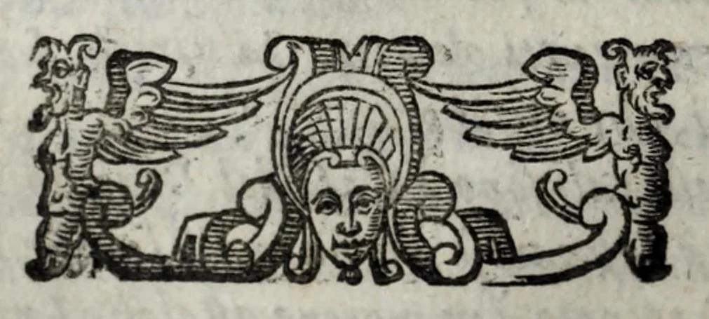 An illustration from Le bravvre del capitano Spauento : divise in molti ragionamenti in forma di dialogo, 1615, leaf 110
