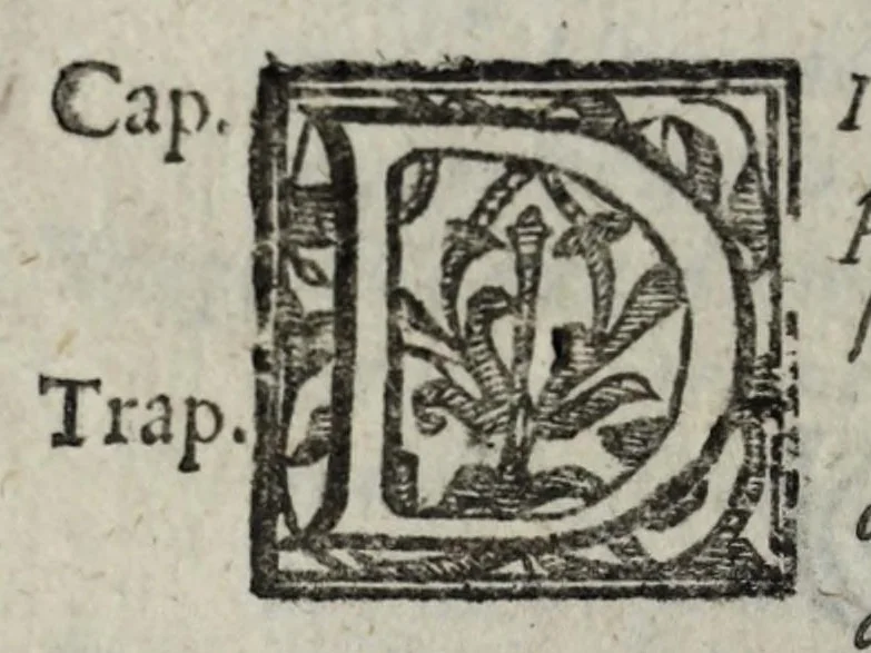 An illustration from Le bravvre del capitano Spauento : divise in molti ragionamenti in forma di dialogo, 1615, leaf 156