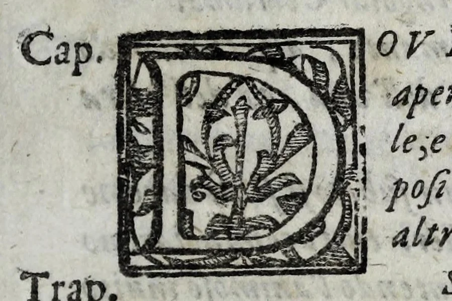 An illustration from Le bravvre del capitano Spauento : divise in molti ragionamenti in forma di dialogo, 1615, leaf 171