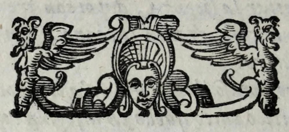 An illustration from Le bravvre del capitano Spauento : divise in molti ragionamenti in forma di dialogo, 1615, leaf 24
