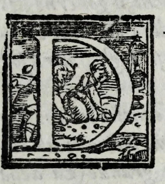 An illustration from Le bravvre del capitano Spauento : divise in molti ragionamenti in forma di dialogo, 1615, leaf 257