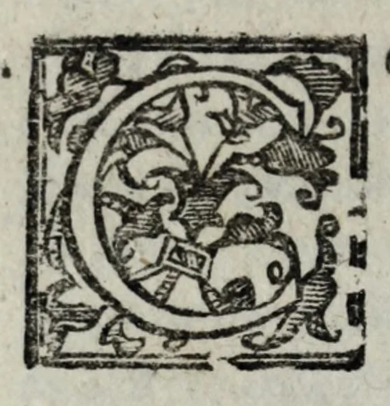 An illustration from Le bravvre del capitano Spauento : divise in molti ragionamenti in forma di dialogo, 1615, leaf 268