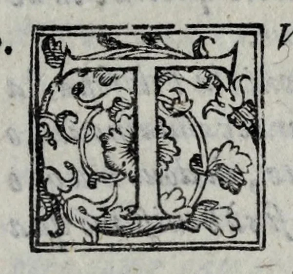 An illustration from Le bravvre del capitano Spauento : divise in molti ragionamenti in forma di dialogo, 1615, leaf 311
