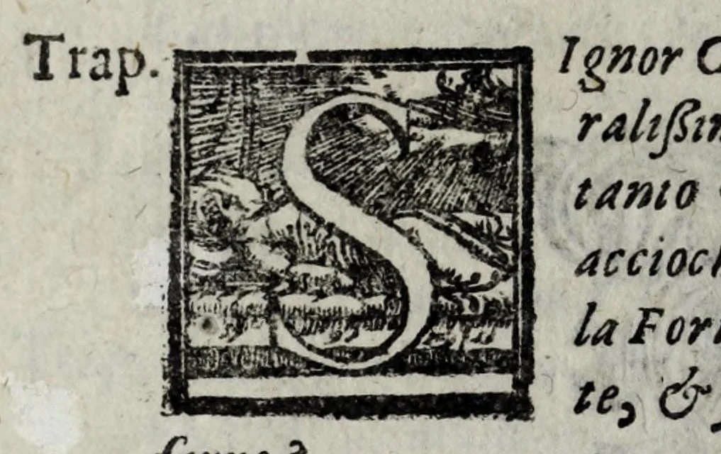 An illustration from Le bravvre del capitano Spauento : divise in molti ragionamenti in forma di dialogo, 1615, leaf 360