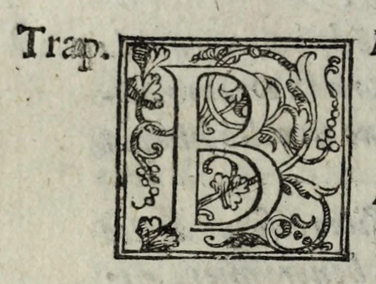 An illustration from Le bravvre del capitano Spauento : divise in molti ragionamenti in forma di dialogo, 1615, leaf 96