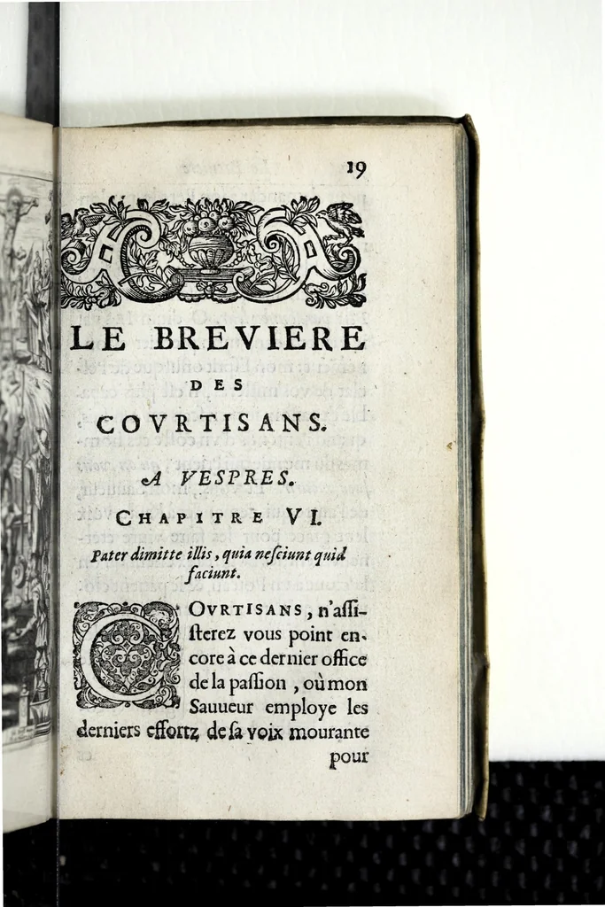 An illustration from Le breuiere des courtisans : enrichy d'vn grand nombre de figures, 1630, leaf 245