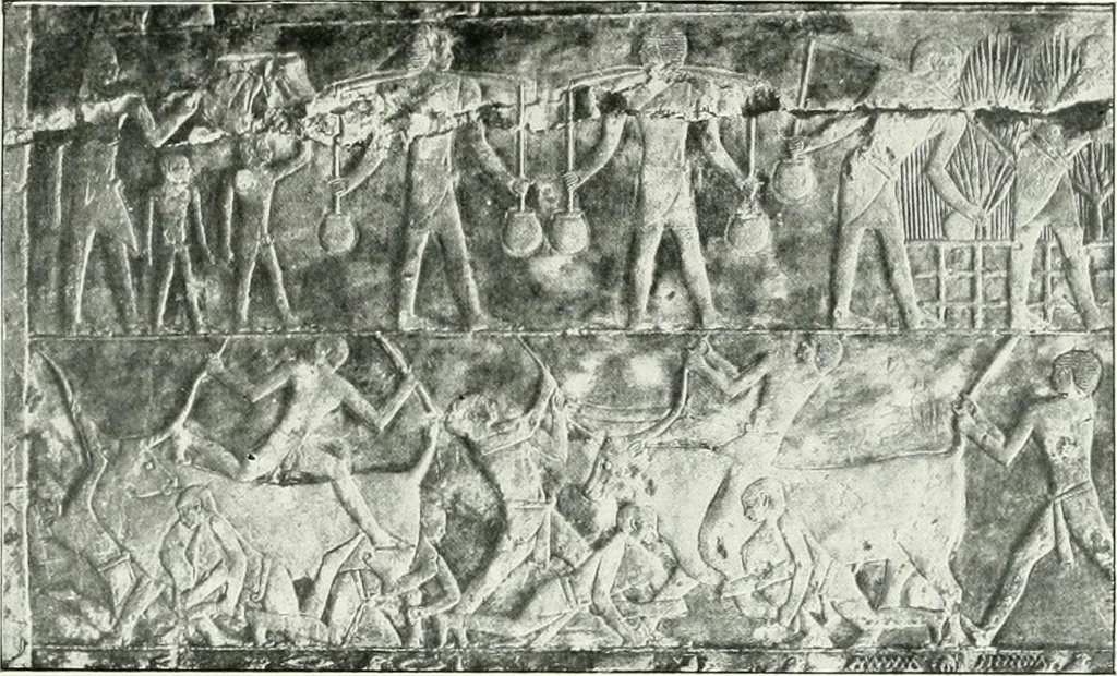 An illustration from Le Caire, le Nil et Memphis, 1906, leaf 110