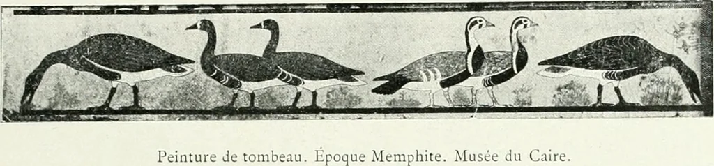 An illustration from Le Caire, le Nil et Memphis, 1906, leaf 124