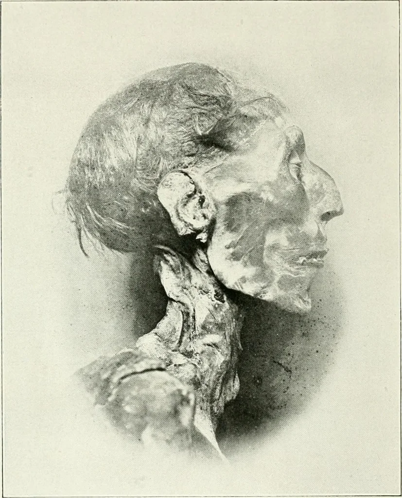 An illustration from Le Caire, le Nil et Memphis, 1906, leaf 135