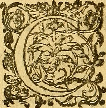 An illustration from Le camp de la place royalle, ov Relation de ce qvi s'y est passé les cinquiesme, sixiesme, & septiesme iour d'auril, mil six cens douze, pour la publication des mariages du Roy, & de Madame, auec l'lnfante, & le Prince d'Espagne .., 1612, leaf 103