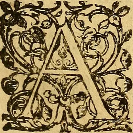 An illustration from Le camp de la place royalle, ov Relation de ce qvi s'y est passé les cinquiesme, sixiesme, & septiesme iour d'auril, mil six cens douze, pour la publication des mariages du Roy, & de Madame, auec l'lnfante, & le Prince d'Espagne .., 1612, leaf 12