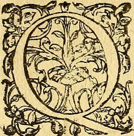 An illustration from Le camp de la place royalle, ov Relation de ce qvi s'y est passé les cinquiesme, sixiesme, & septiesme iour d'auril, mil six cens douze, pour la publication des mariages du Roy, & de Madame, auec l'lnfante, & le Prince d'Espagne .., 1612, leaf 123