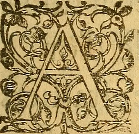 An illustration from Le camp de la place royalle, ov Relation de ce qvi s'y est passé les cinquiesme, sixiesme, & septiesme iour d'auril, mil six cens douze, pour la publication des mariages du Roy, & de Madame, auec l'lnfante, & le Prince d'Espagne .., 1612, leaf 174