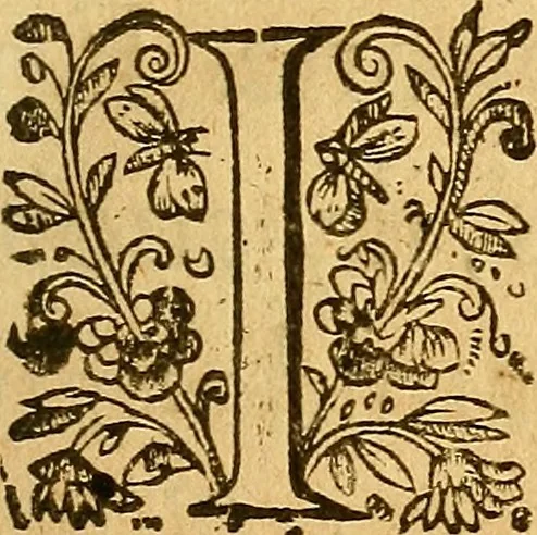An illustration from Le camp de la place royalle, ov Relation de ce qvi s'y est passé les cinquiesme, sixiesme, & septiesme iour d'auril, mil six cens douze, pour la publication des mariages du Roy, & de Madame, auec l'lnfante, & le Prince d'Espagne .., 1612, leaf 20