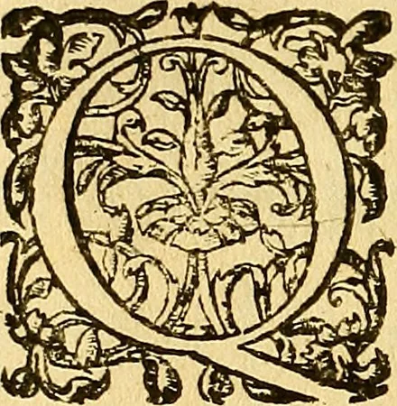 An illustration from Le camp de la place royalle, ov Relation de ce qvi s'y est passé les cinquiesme, sixiesme, & septiesme iour d'auril, mil six cens douze, pour la publication des mariages du Roy, & de Madame, auec l'lnfante, & le Prince d'Espagne .., 1612, leaf 217