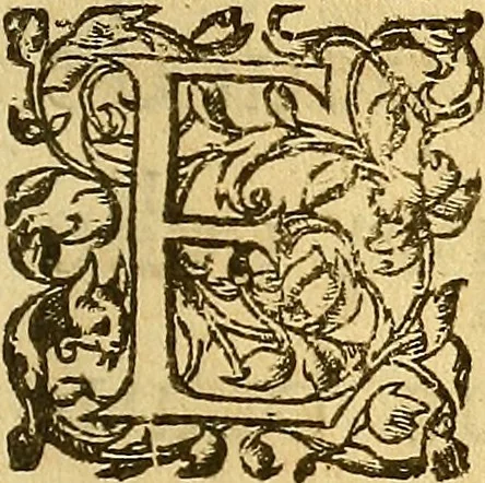 An illustration from Le camp de la place royalle, ov Relation de ce qvi s'y est passé les cinquiesme, sixiesme, & septiesme iour d'auril, mil six cens douze, pour la publication des mariages du Roy, & de Madame, auec l'lnfante, & le Prince d'Espagne .., 1612, leaf 224