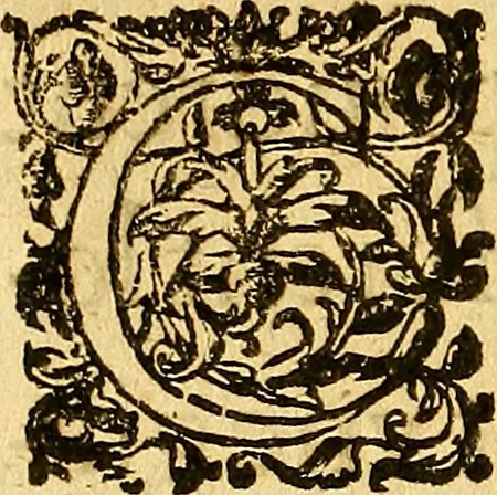 An illustration from Le camp de la place royalle, ov Relation de ce qvi s'y est passé les cinquiesme, sixiesme, & septiesme iour d'auril, mil six cens douze, pour la publication des mariages du Roy, & de Madame, auec l'lnfante, & le Prince d'Espagne .., 1612, leaf 229