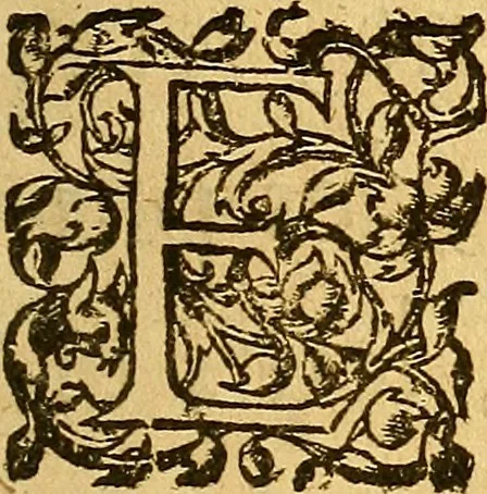 An illustration from Le camp de la place royalle, ov Relation de ce qvi s'y est passé les cinquiesme, sixiesme, & septiesme iour d'auril, mil six cens douze, pour la publication des mariages du Roy, & de Madame, auec l'lnfante, & le Prince d'Espagne .., 1612, leaf 294