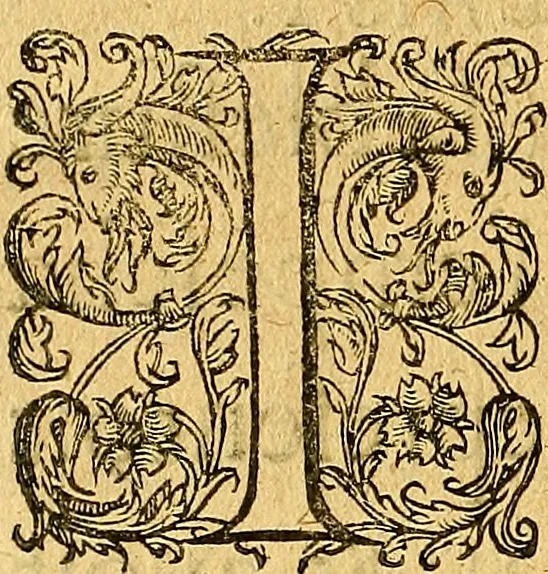 An illustration from Le camp de la place royalle, ov Relation de ce qvi s'y est passé les cinquiesme, sixiesme, & septiesme iour d'auril, mil six cens douze, pour la publication des mariages du Roy, & de Madame, auec l'lnfante, & le Prince d'Espagne .., 1612, leaf 305