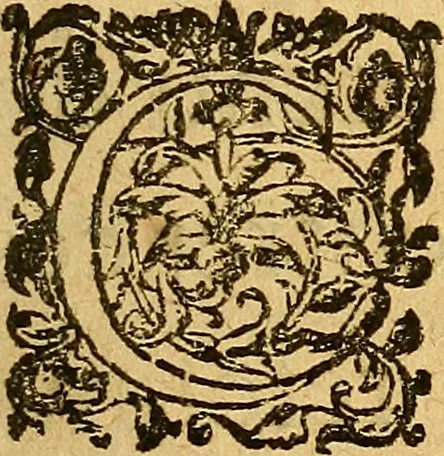 An illustration from Le camp de la place royalle, ov Relation de ce qvi s'y est passé les cinquiesme, sixiesme, & septiesme iour d'auril, mil six cens douze, pour la publication des mariages du Roy, & de Madame, auec l'lnfante, & le Prince d'Espagne .., 1612, leaf 330