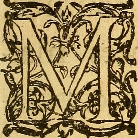 An illustration from Le camp de la place royalle, ov Relation de ce qvi s'y est passé les cinquiesme, sixiesme, & septiesme iour d'auril, mil six cens douze, pour la publication des mariages du Roy, & de Madame, auec l'lnfante, & le Prince d'Espagne .., 1612, leaf 354