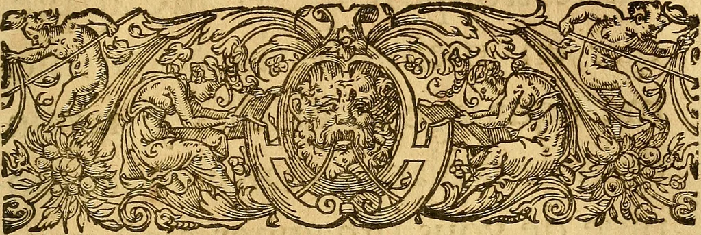 An illustration from Le camp de la place royalle, ov Relation de ce qvi s'y est passé les cinquiesme, sixiesme, & septiesme iour d'auril, mil six cens douze, pour la publication des mariages du Roy, & de Madame, auec l'lnfante, & le Prince d'Espagne .., 1612, leaf 364