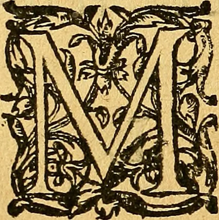 An illustration from Le camp de la place royalle, ov Relation de ce qvi s'y est passé les cinquiesme, sixiesme, & septiesme iour d'auril, mil six cens douze, pour la publication des mariages du Roy, & de Madame, auec l'lnfante, & le Prince d'Espagne .., 1612, leaf 49