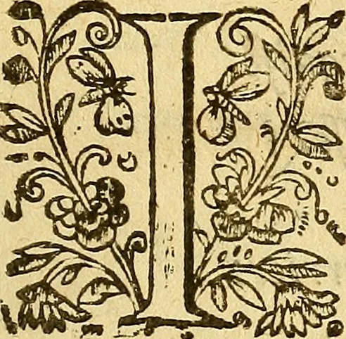 An illustration from Le camp de la place royalle, ov Relation de ce qvi s'y est passé les cinquiesme, sixiesme, & septiesme iour d'auril, mil six cens douze, pour la publication des mariages du Roy, & de Madame, auec l'lnfante, & le Prince d'Espagne .., 1612, leaf 60