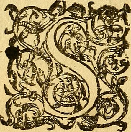 An illustration from Le camp de la place royalle, ov Relation de ce qvi s'y est passé les cinquiesme, sixiesme, & septiesme iour d'auril, mil six cens douze, pour la publication des mariages du Roy, & de Madame, auec l'lnfante, & le Prince d'Espagne .., 1612, leaf 81