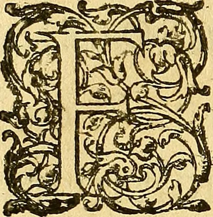 An illustration from Le camp de la place royalle, ov Relation de ce qvi s'y est passé les cinquiesme, sixiesme, & septiesme iour d'auril, mil six cens douze, pour la publication des mariages du Roy, & de Madame, auec l'lnfante, & le Prince d'Espagne .., 1612, leaf 87