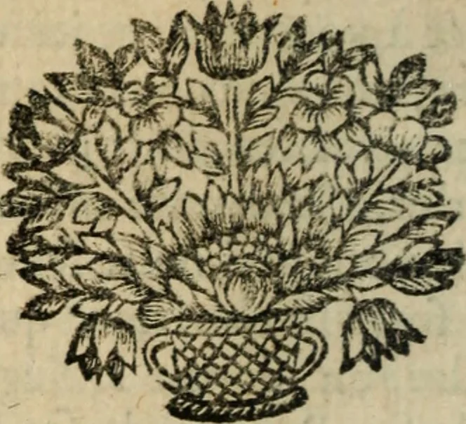 An illustration from Le caractère de l'honneste-homme : morale Dédié au roy, par M. l'abbé de Gérard, 1688, leaf 49