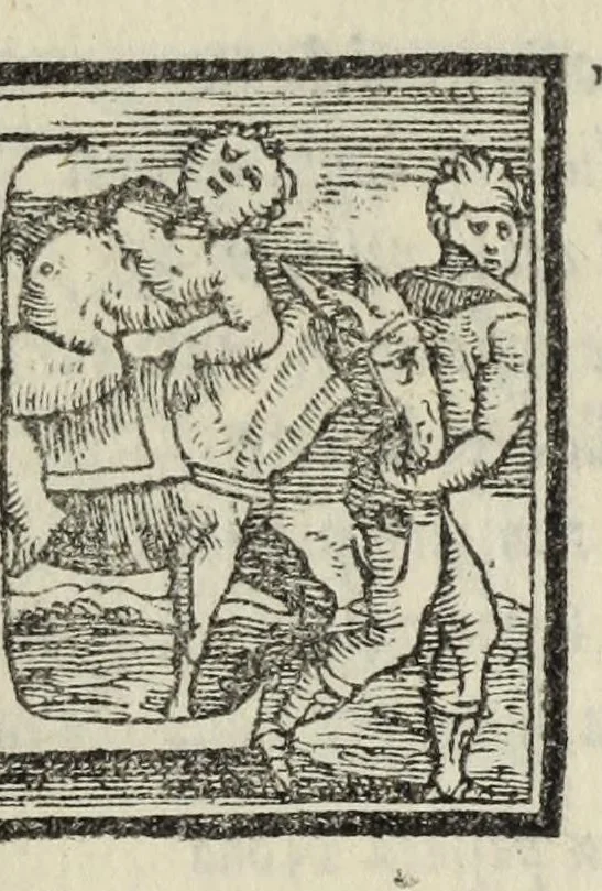 An illustration from Le cento novelle da messer Vincenzo Brugiantino, dette in ottava rima, 1554, leaf 133
