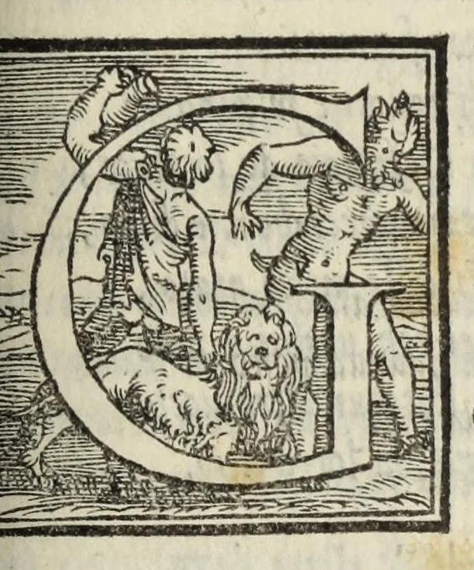 An illustration from Le cento novelle da messer Vincenzo Brugiantino, dette in ottava rima, 1554, leaf 165