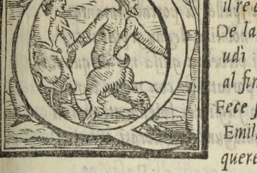 An illustration from Le cento novelle da messer Vincenzo Brugiantino, dette in ottava rima, 1554, leaf 231