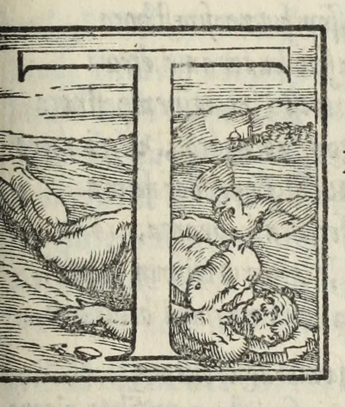 An illustration from Le cento novelle da messer Vincenzo Brugiantino, dette in ottava rima, 1554, leaf 241