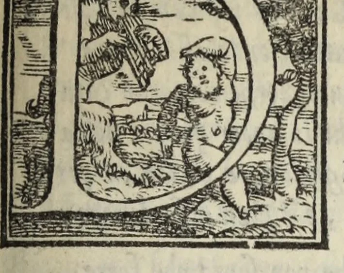 An illustration from Le cento novelle da messer Vincenzo Brugiantino, dette in ottava rima, 1554, leaf 265