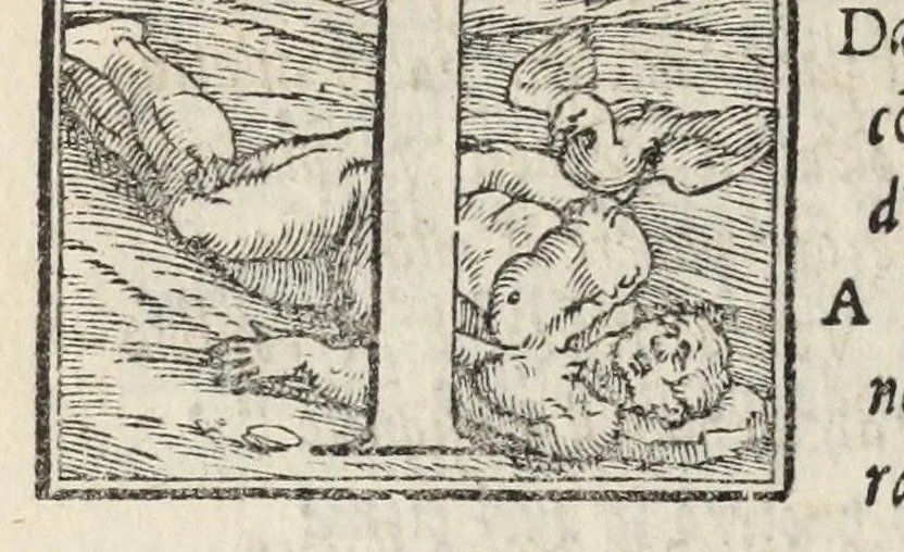 An illustration from Le cento novelle da messer Vincenzo Brugiantino, dette in ottava rima, 1554, leaf 270