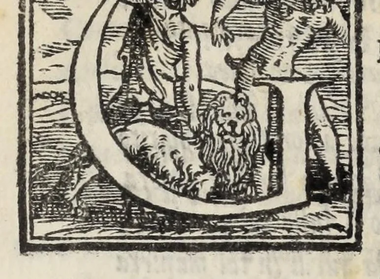 An illustration from Le cento novelle da messer Vincenzo Brugiantino, dette in ottava rima, 1554, leaf 296