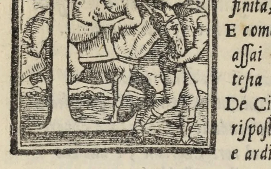 An illustration from Le cento novelle da messer Vincenzo Brugiantino, dette in ottava rima, 1554, leaf 312