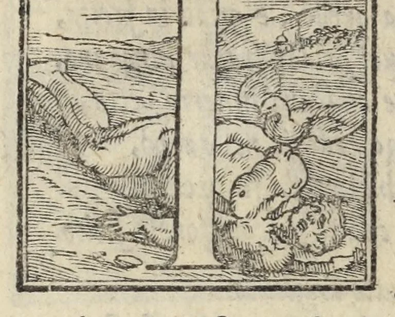 An illustration from Le cento novelle da messer Vincenzo Brugiantino, dette in ottava rima, 1554, leaf 316