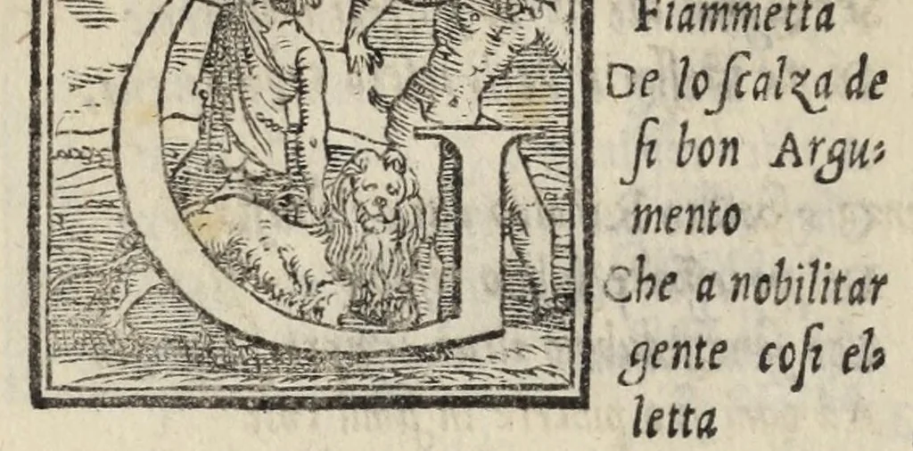 An illustration from Le cento novelle da messer Vincenzo Brugiantino, dette in ottava rima, 1554, leaf 320