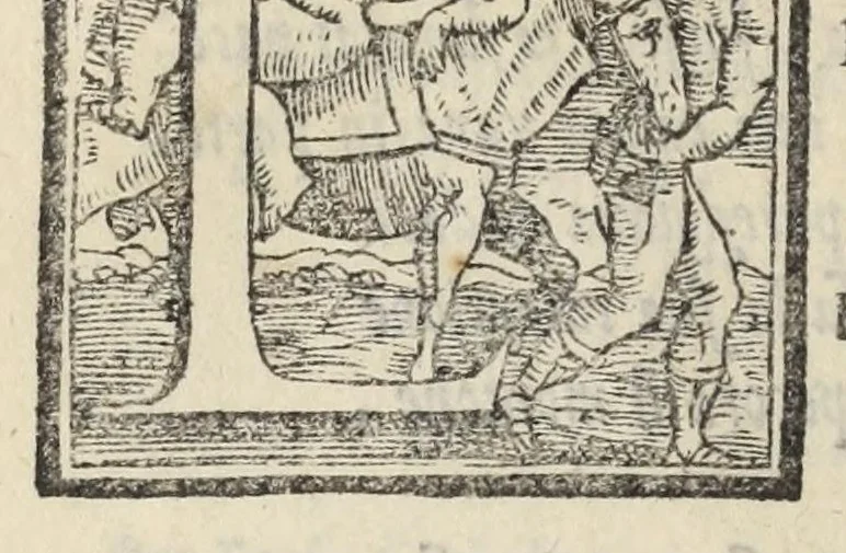 An illustration from Le cento novelle da messer Vincenzo Brugiantino, dette in ottava rima, 1554, leaf 324