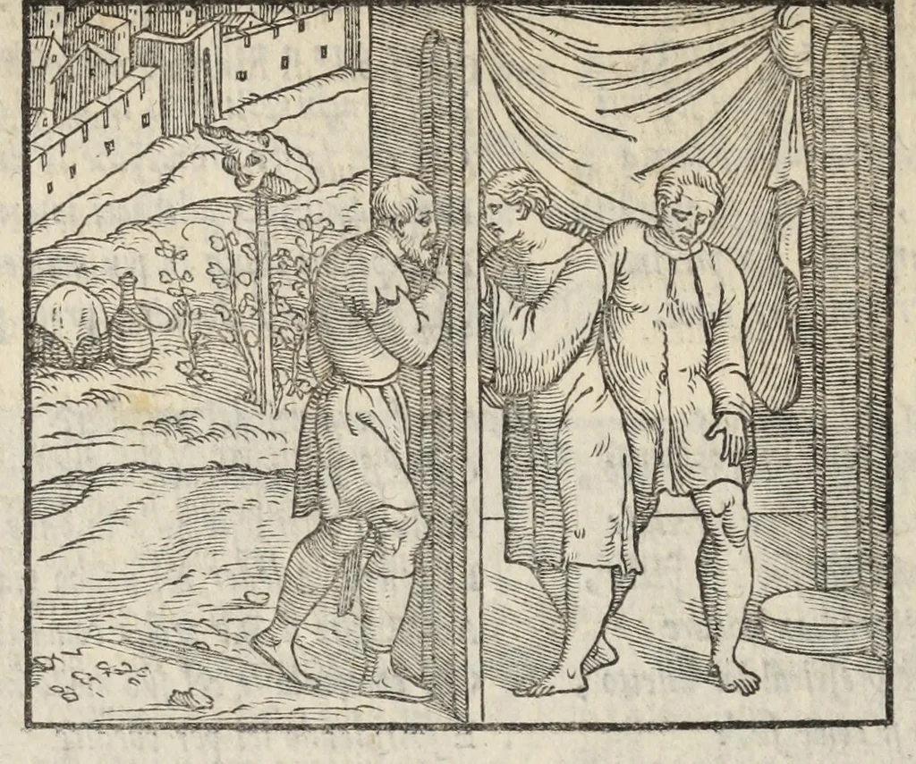 An illustration from Le cento novelle da messer Vincenzo Brugiantino, dette in ottava rima, 1554, leaf 338